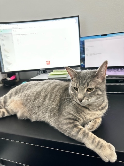 Lux214Media's tweet photo. Let's hear it for Luna! She nailed her Zoom debut today. LuxLife in the wild. #LuxLife #NoFilter #InfluencerStyle #InTheWild https://t.co/U0f7wZ42yB
