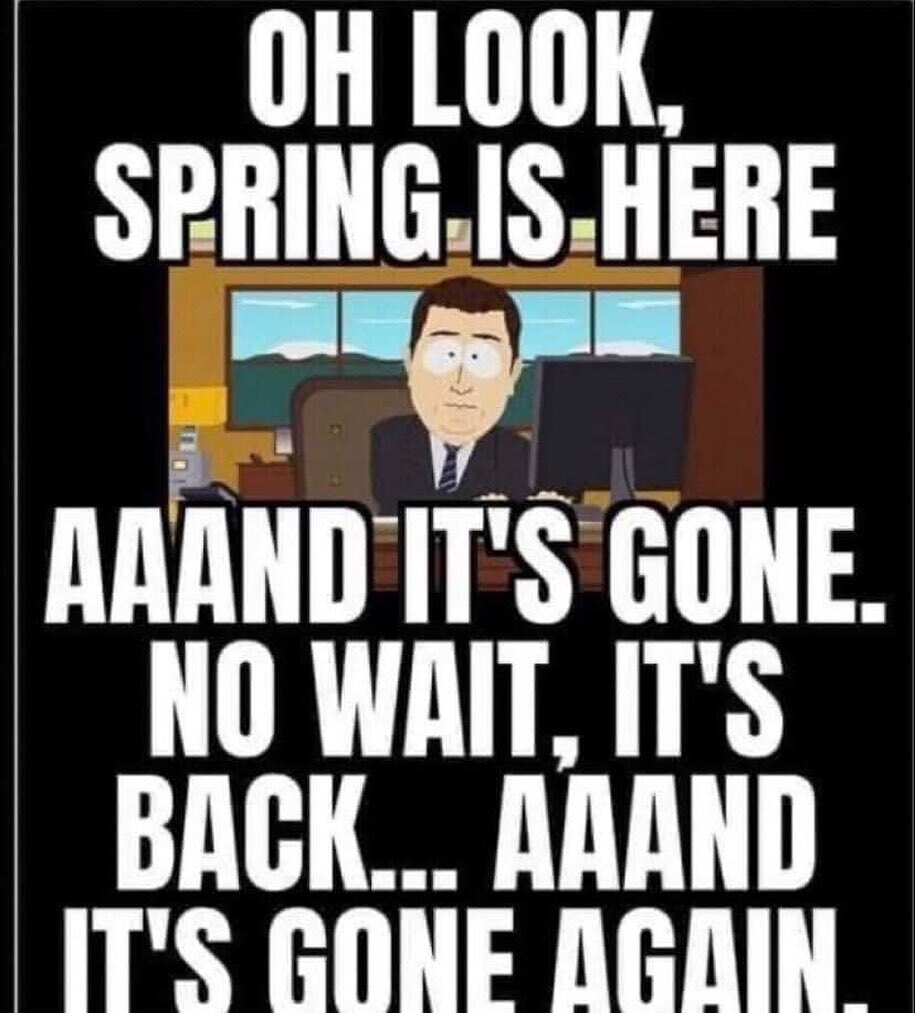 bearbottom307's tweet photo. Spring is a relative term in Wyoming, but #bearbottom307 is here no matter the weather! Stop in for a #tastytreat today! #wyomingweather #wyomingwinter #orisitspring #centennialwy https://t.co/sAQ29EtpDa https://t.co/sHysHP3iLD