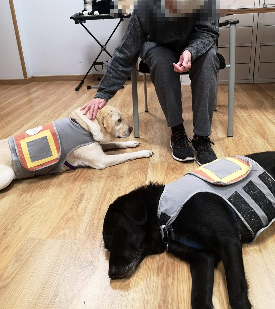 CATanisoci's tweet photo. Bubba, huellas que dibujan sonrisas, nuestro proyecto de #TerapiasAsistidasConAnimales junto a personas con #Alzheimer llega a su fin este mes de marzo. https://t.co/2Of0a3yNe6