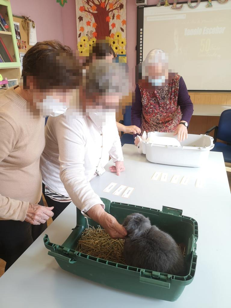 CATanisoci's tweet photo. Este programa de #TerapiasAsistidasConConejos y #TerapiasAsistidasConPerros desarrollado junto a @CeniacIAA se ha llevado a cabo en diferentes centros de la Asociación de Familiares de Enfermos de Alzheimer del Baix Llobregat. https://t.co/yvFtXH1tiq