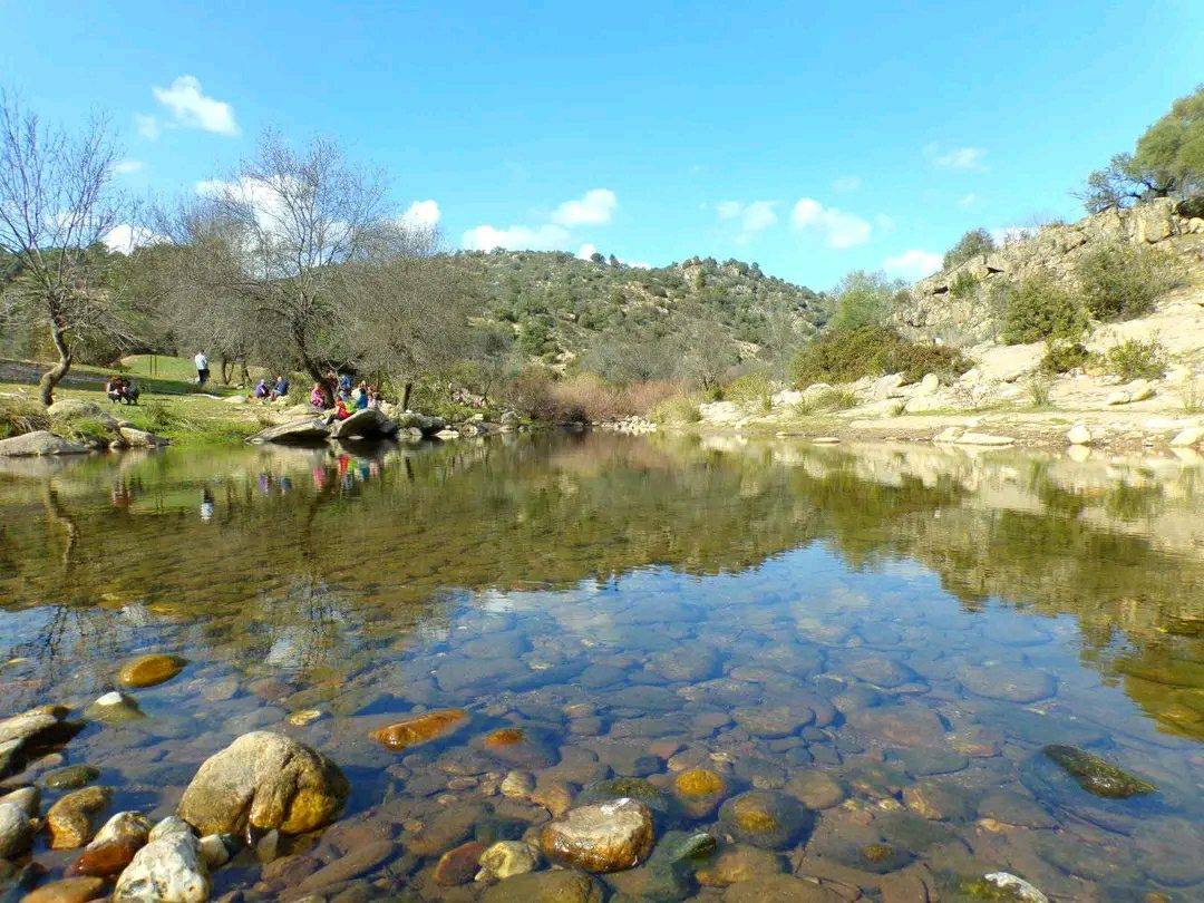 ZumayaAc's tweet photo. Últimas plazas para el domingo 26, actividad de identificación de flora en el Sendero Vegueta del Fresno (P.N. Sª de Cardeña y Montoro). Descubre el valle del Río Yeguas una de las zonas de máxima protección de este espacio protegido. Inscríbete: https://t.co/MqLnJAn7vz  GRATIS https://t.co/y6Vp5ajyCh