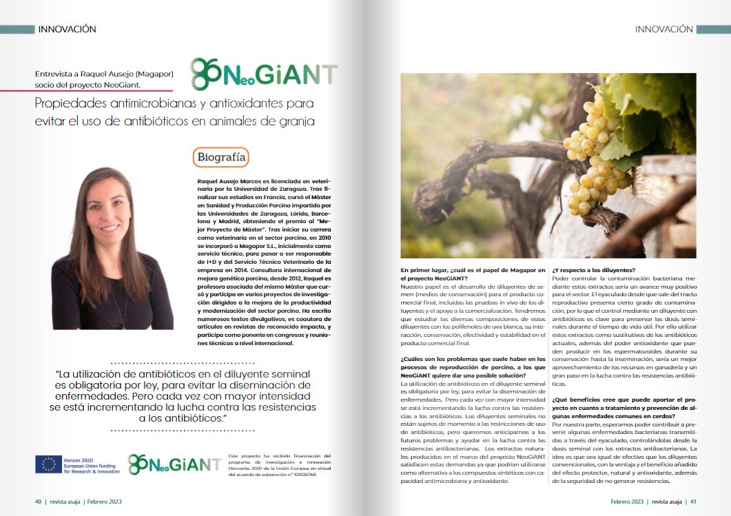 Raquel Ausejo de <a href="/MAGAPORSL/">MAGAPOR</a>, socio del proyecto <a href="/NeoGiANT_H2020/">NeoGiANT H2020</a>

Nos explica los problemas en la reproducción del porcino y las posibles soluciones que busca el proyecto #NeoGiANT
👉ow.ly/cZs950NoLv3