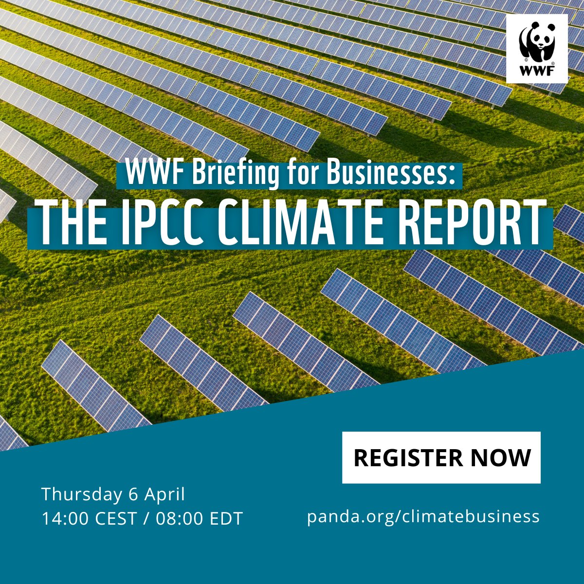 WWF Climate & Business (@wwfclimatebiz) on Twitter photo It's been called a "survival guide for humanity" - so what does the new #IPCC climate report say, and what does it mean for businesses?
Join us for this special briefing with WWF's <a href="/stephanieroe/">Dr. Stephanie Roe</a> to learn more.
📅 6 April
🕑 14:00 CEST
Register: bit.ly/IPCCbizbriefing It's been called a "survival guide for humanity" - so what does the new #IPCC climate report say, and what does it mean for businesses?
Join us for this special briefing with WWF's <a href="/stephanieroe/">Dr. Stephanie Roe</a> to learn more.
📅 6 April
🕑 14:00 CEST
Register: bit.ly/IPCCbizbriefing