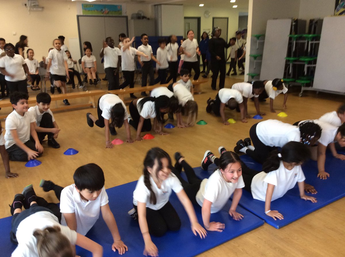 Foxfield Palm tweet media