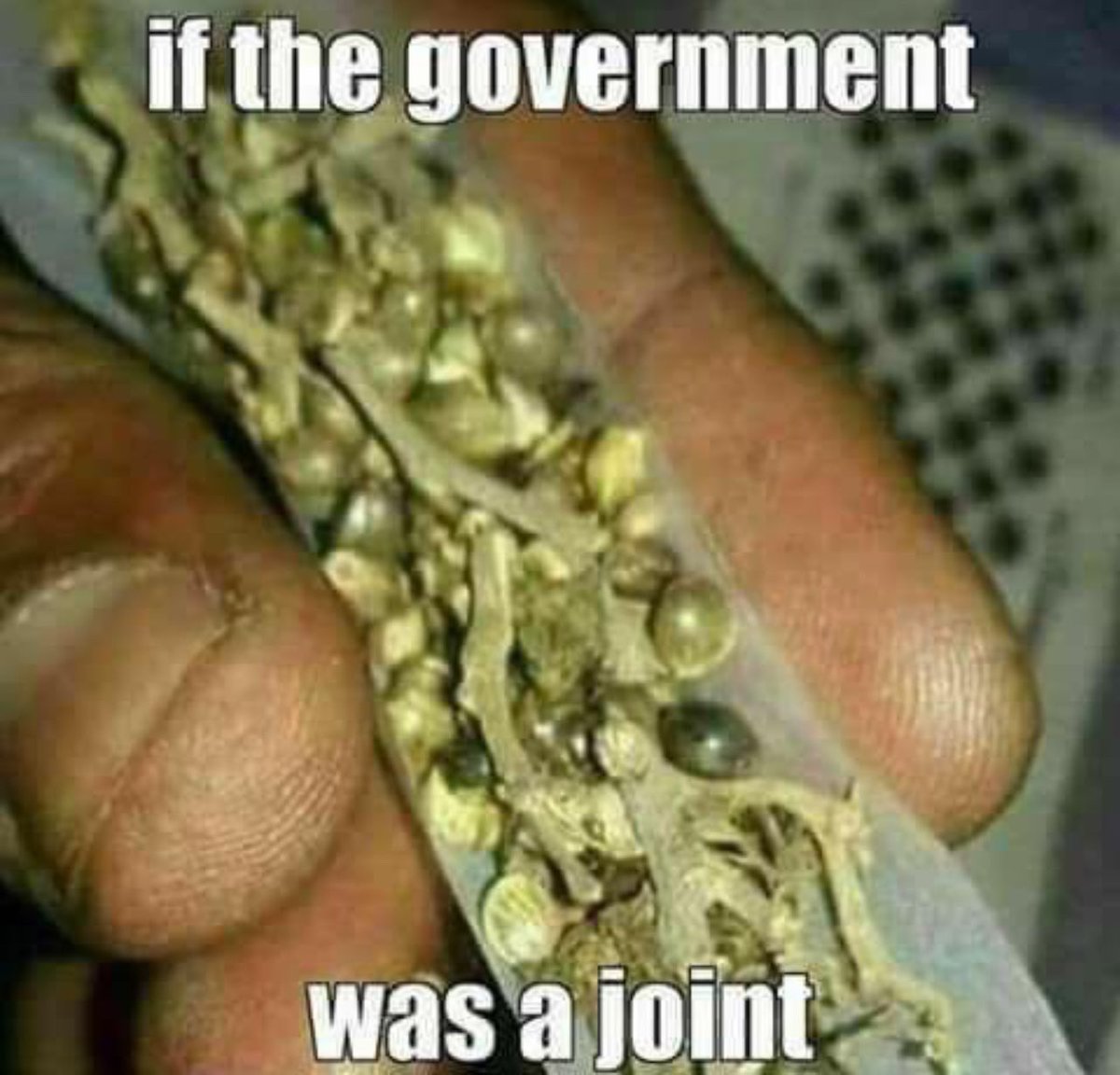 NFTKing👑 The Mensch⌐◨-◨ 🍌 tweet media