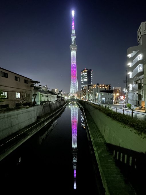 今日の一枚ちはやふる名言　２本立て真島太一泣くな おれはまだ泣いていいほど懸けてない　“悔しい”だけでいい真島太一懸けて