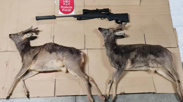 AlbertoRSaeta's tweet photo. El caso aislado de hoy:
Denunciados dos cazadores furtivos en las Ventas de Arraitz (Navarra) por cazar de noche y con silenciador #NoALaCaza #LaVerdadDeLaCaza  https://t.co/EkAzHrPQsy https://t.co/8ItTS3as2w
