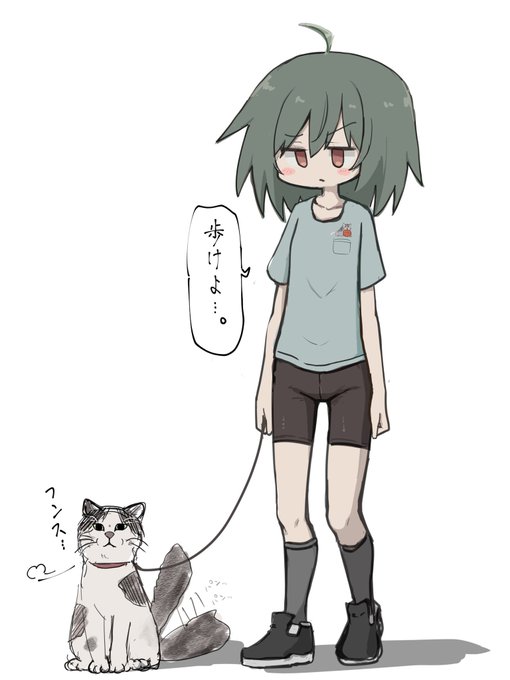 『猫の散歩あるある』
歩かない。 