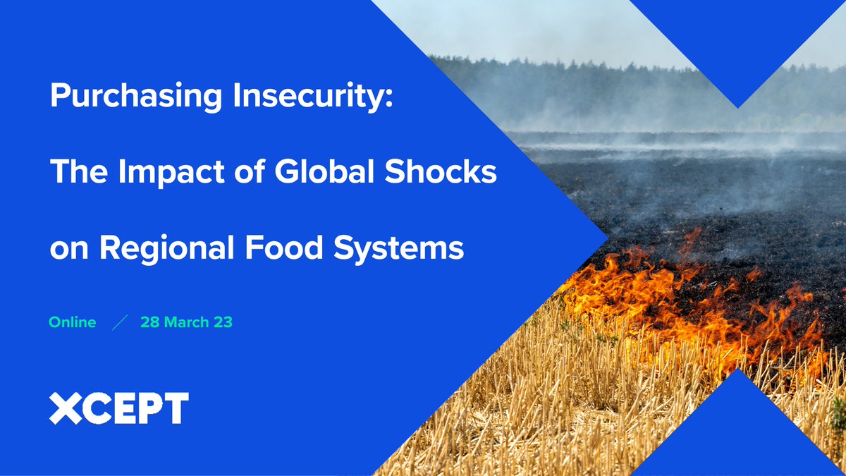 XCEPT Research tweet media