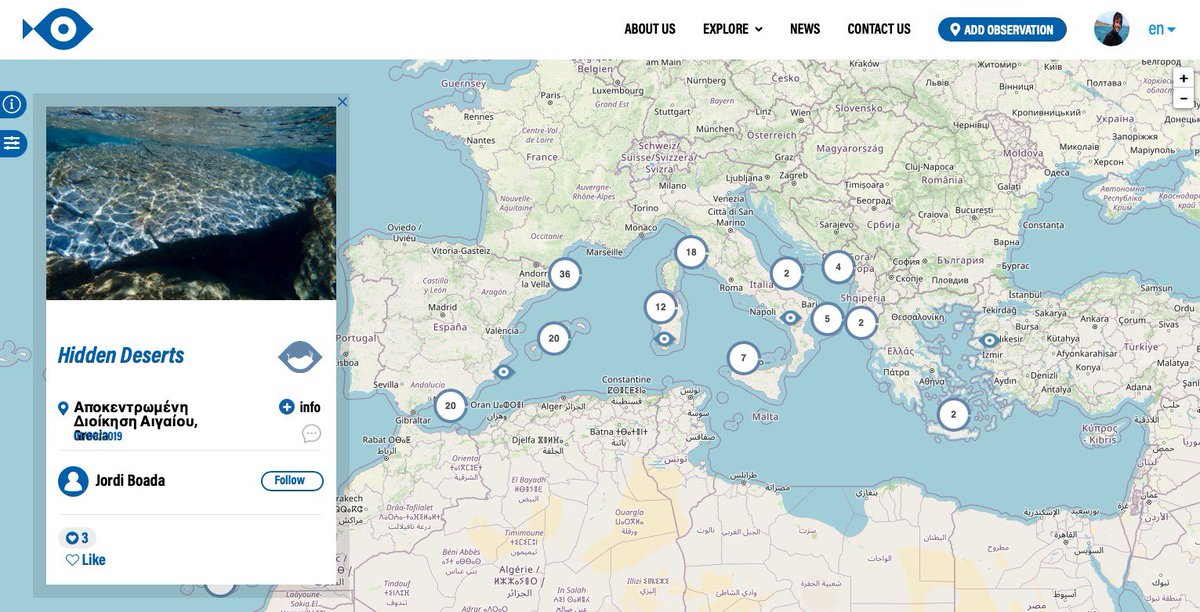 When urchins are removed after fishing or culling, macroalgal habitats under contrasting nutrient conditions have different fates. Barrens in oligotrophy may remain stable even without SU! The feedback breaks in nutrient-rich waters.