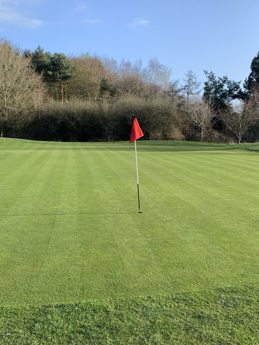 nick swift tweet media