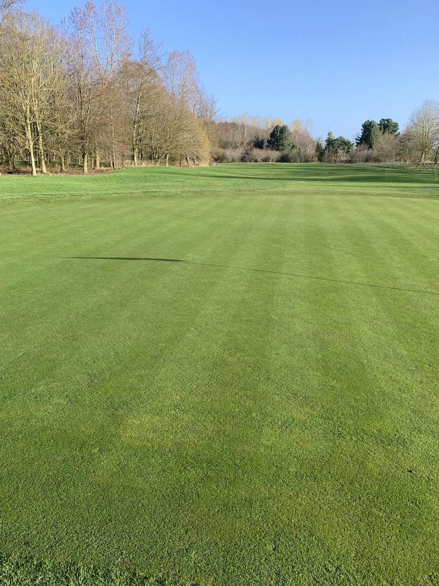 nick swift tweet media