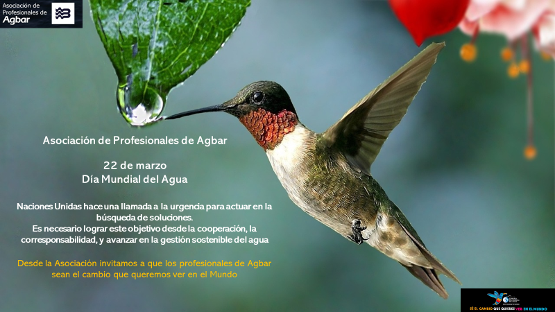 Las <a href="/ONU_es/">Naciones Unidas</a> llaman a la urgencia para actuar en la búsqueda de soluciones. 
Es necesario lograr este objetivo desde la #cooperacion, #corresponsabilidad y avanzar en la gestión sostenible del agua
#aceleraelcambio
#DMA23