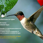 Photo by Asociación de Profesionales de Agbar (@ProfAgbar)