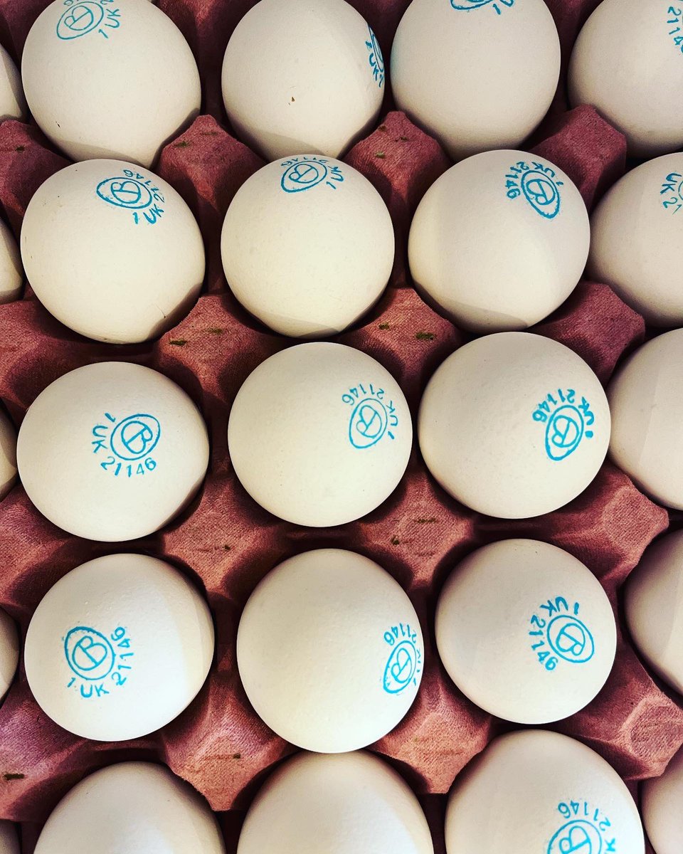 GatherE17's tweet photo. Eggs glorious eggs! @cacklebean_eggs Arlington White Eggs to be exact. Our love affair with these the eggs goes way back. These are the eggs that Chef Martin has always used! Available in our shop @CRATESJS now 😋#e17 https://t.co/u0fBEGWmSp