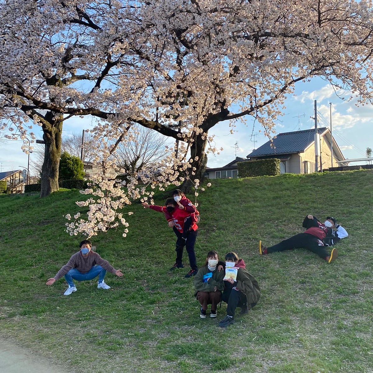 Banditsfoot's tweet photo. BANDITSです🌸

今日も暖かい日でしたね！桜も咲き始めました♪新入生の皆さんも下宿の人たちは引越しを始めている頃でしょうか🤔

そこで！！4月9日（日）にお花見をしようと思います！

新入生の皆さんはもちろん、在学生でアメフト部に興味ある方もぜひきてください！
#春から大谷大学 
#春から大谷 https://t.co/uJeSCVQ3LW