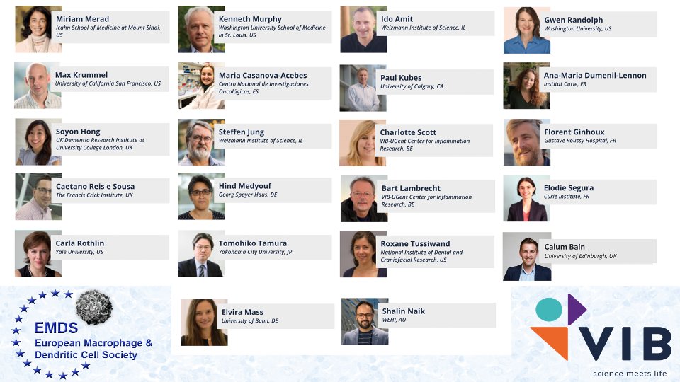 (1/3)🚨Conference Alert🚨: in October 2023 we will be organizing the #Macrophage &amp; #DendriticCell EMDS@VIB Conference in the beautiful city of Ghent 🇧🇪. Register here: vibconferences.be/events/emds202…
We kept many open slots for selected talks.
Speakers Line-up:👇🤩🤩🤩🤩🤩🤩 Please RT