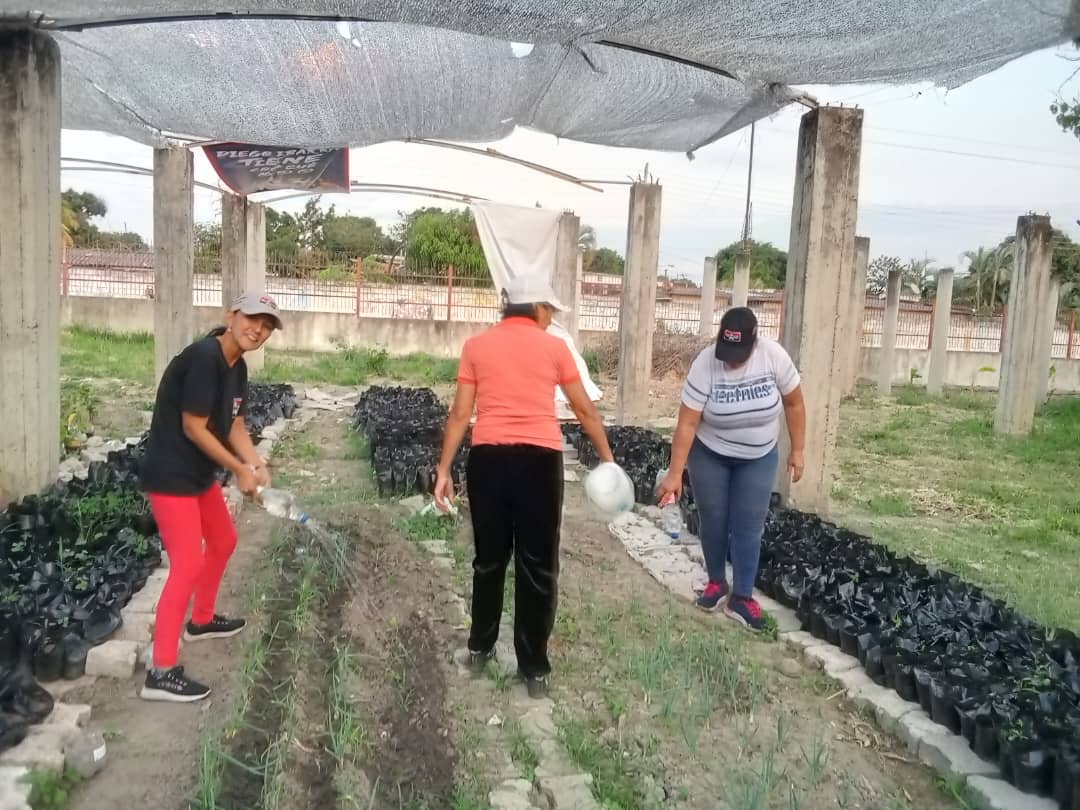 caraboboMRT's tweet photo. Contribuyendo a la diversificación económica de nuestro país, la militancia #Tupamaro del Mcpio @DiegoIbarraMrt, sigue avanzando en la construcción del Vivero municipal #TupaFlorece

Producir, es Vencer 🔴⚫

#CeroToleranciaALaCorrupción
#ComunaYProducción https://t.co/2buJFXr7Zi