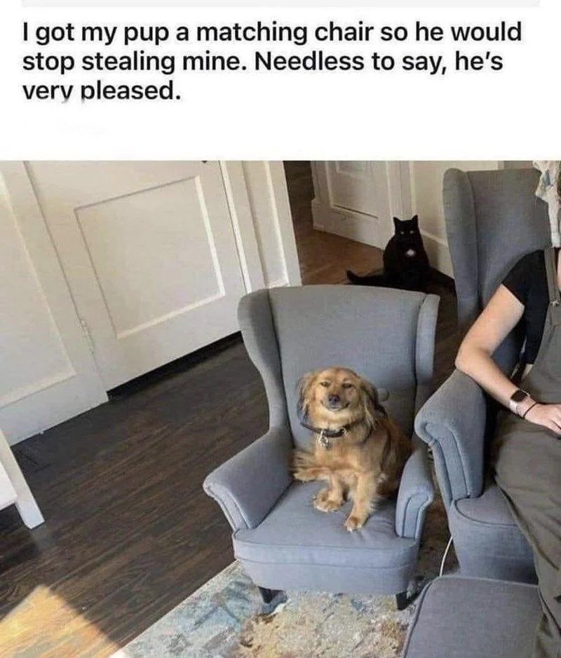 WholesomeMeme's tweet photo. https://t.co/n80WiphxY0