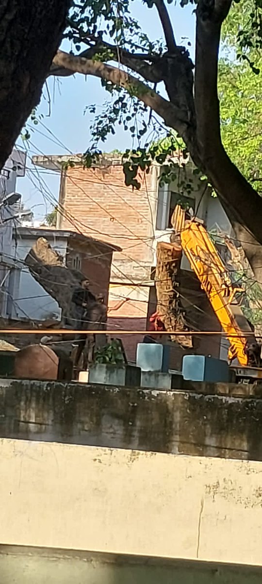 YashArima's tweet photo. वे भी अब यहां के निवासियों के बाउंड्री के अंदर आते हैं। अब वो इन हरे भरे पेड़ों को अपनेअवैध निर्माण को सुरक्षित रखने के लिए कटवा रहे हैं। आज ही एक हरा पेड़ कटवा दिया गया है और कल दूसरा पेड़ कटवाने जा रहे हैं। घटना से संबंधित चित्र संलग्न है। कृपया इस घटना का संज्ञान लें तथा (२/३) https://t.co/e9XdPmXwnl