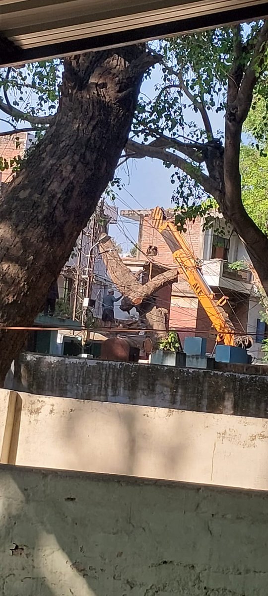 YashArima's tweet photo. वे भी अब यहां के निवासियों के बाउंड्री के अंदर आते हैं। अब वो इन हरे भरे पेड़ों को अपनेअवैध निर्माण को सुरक्षित रखने के लिए कटवा रहे हैं। आज ही एक हरा पेड़ कटवा दिया गया है और कल दूसरा पेड़ कटवाने जा रहे हैं। घटना से संबंधित चित्र संलग्न है। कृपया इस घटना का संज्ञान लें तथा (२/३) https://t.co/e9XdPmXwnl