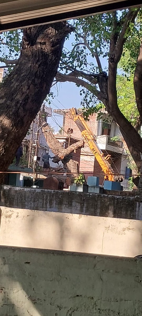 YashArima's tweet photo. वे भी अब यहां के निवासियों के बाउंड्री के अंदर आते हैं। अब वो इन हरे भरे पेड़ों को अपनेअवैध निर्माण को सुरक्षित रखने के लिए कटवा रहे हैं। आज ही एक हरा पेड़ कटवा दिया गया है और कल दूसरा पेड़ कटवाने जा रहे हैं। घटना से संबंधित चित्र संलग्न है। कृपया इस घटना का संज्ञान लें तथा (२/३) https://t.co/e9XdPmXwnl
