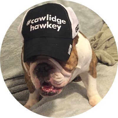 BucciOT.Com tweet media