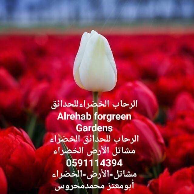 mshatilAlktra's tweet photo. #رمضان_على_السعودية 
#اول_يوم_رمضان 
#هلال_رمضان 
#هلال_الشهر_الكريم 
#رمضان_المبارك https://t.co/sWfIEvp1J5