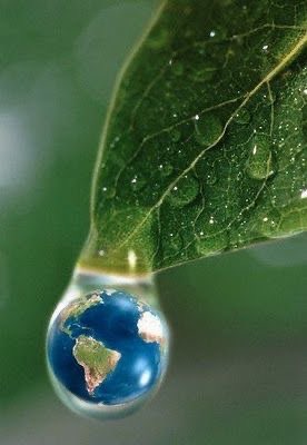 ugandauncovered's tweet photo. Tourism has a major impact on local water resources. 

On #WorldWaterDay, let's promote responsible tourism practices that conserve water, protect ecosystems and benefit local communities.

 Let's travel sustainably and make a positive difference. #Water4All #Ugandauncovered https://t.co/gm7RLyBW2k