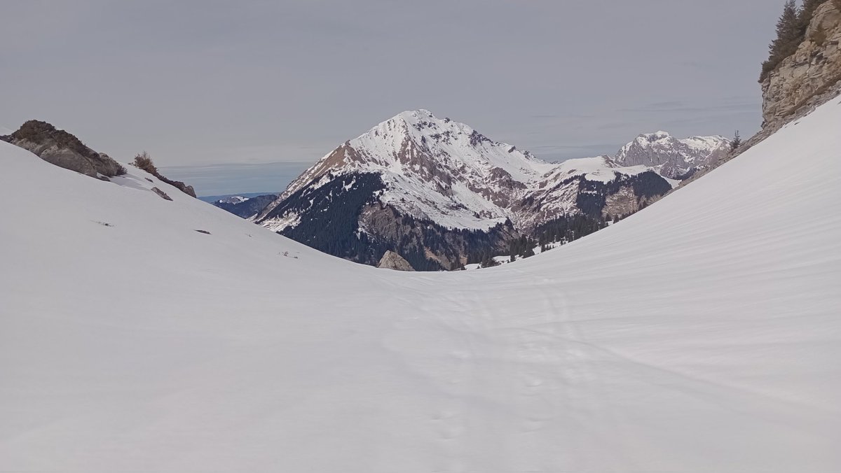 Gron Edwards tweet media