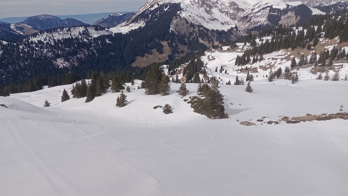 Gron Edwards tweet media