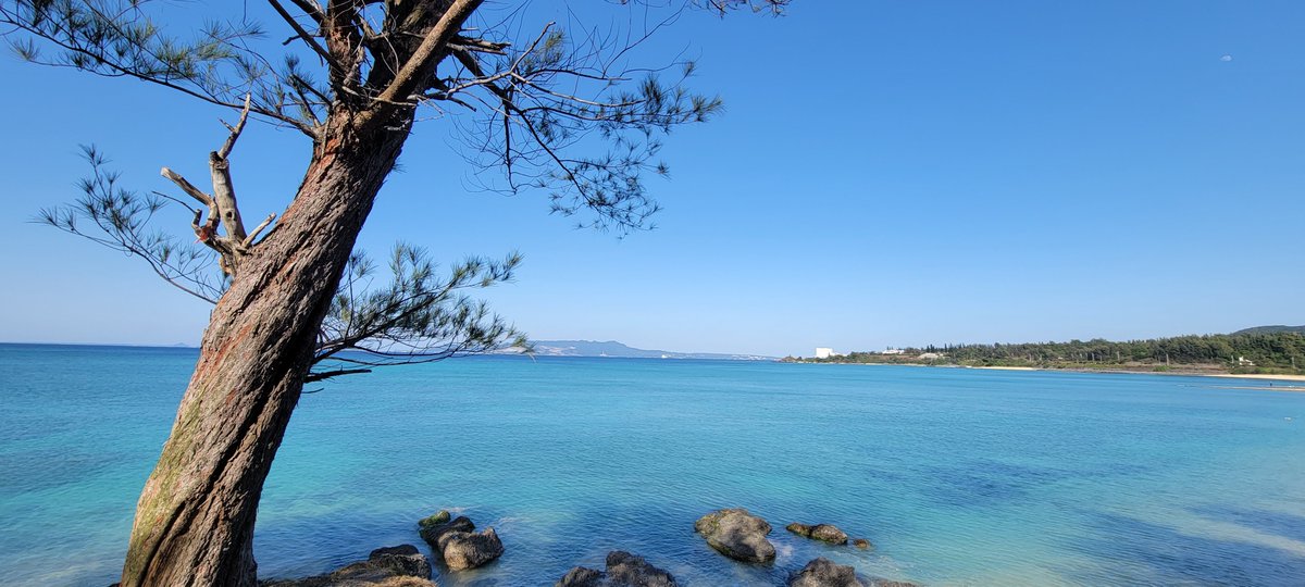 ilikefec's tweet image. #カコウミ

海は見るもの＼😆／