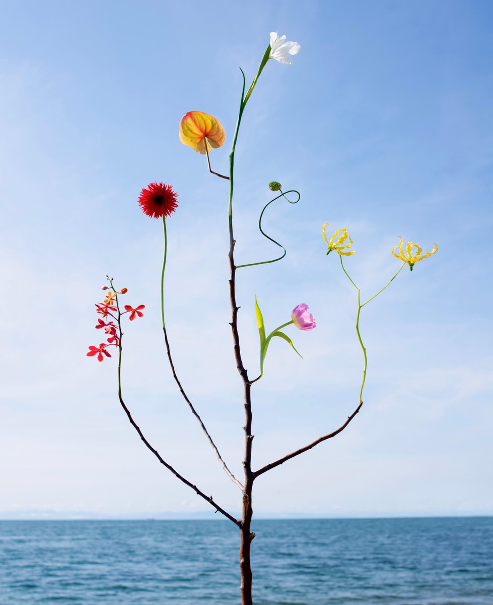 OPEN DOORS GALLERY tweet media