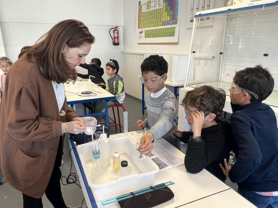 Lycée français Descartes AEFE Rabat tweet media