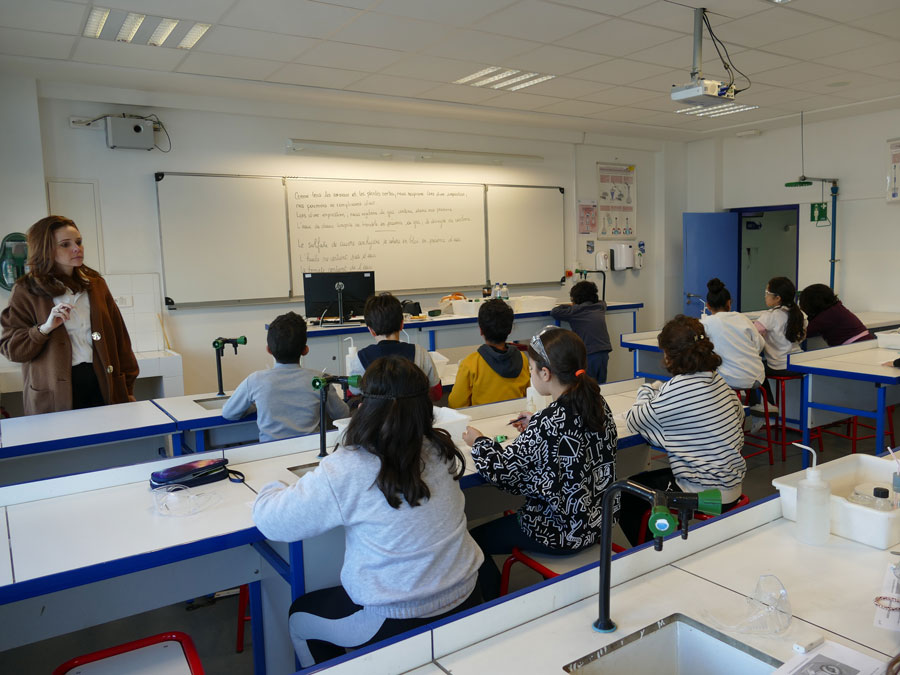 Lycée français Descartes AEFE Rabat tweet media