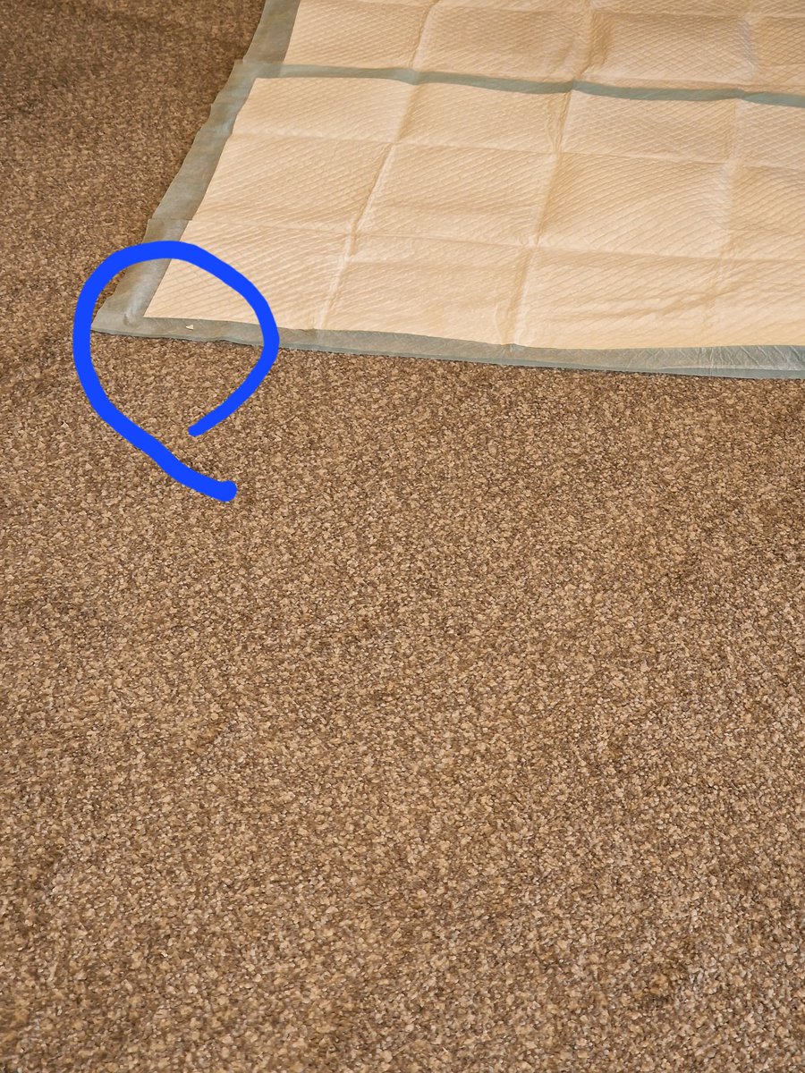 SamSkilbeck's tweet photo. Approaching half way through our #HECTOR @NHS_HW conference listening to another of our wonderful speakers- this time from @WorcsAcuteNHS. 2nd photo shows @DRaven_EM Egg Analogy Fail... I have circled the one piece of egg shell for you 🤣 #eggfail https://t.co/6wqbFt7F0m