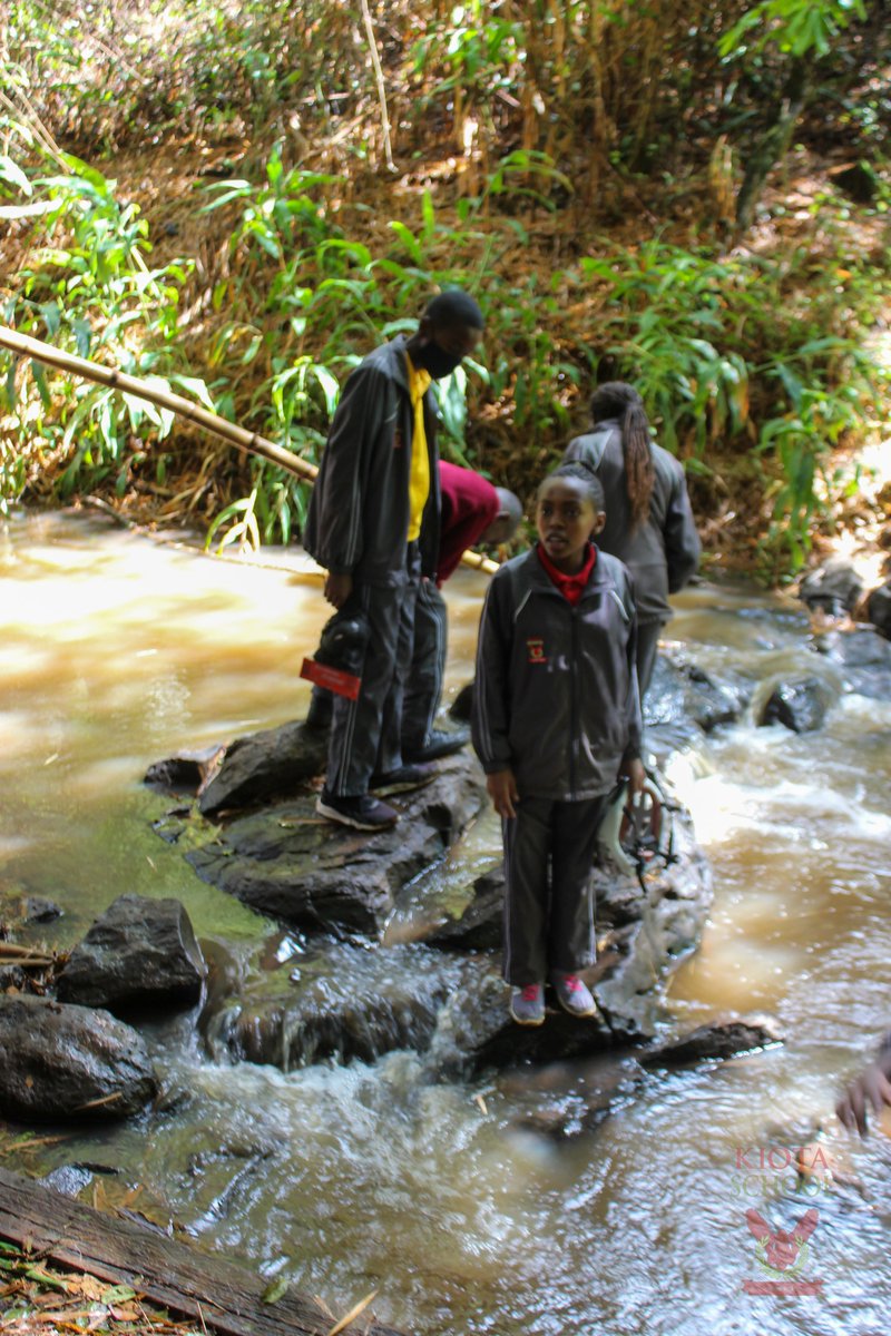KiotaSchool's tweet photo. Class 8 trip to @oloolua_nature_trail. 
They learnt that human encroachment to natural resources such as forests leads to deforestation and destruction of water catchment areas.
#kiotalife 
#kiotacommunity 
#worldchangers 
#schooltrip 
#class8 
#environmentalcare 
#climatechange https://t.co/vm1EXotUCi