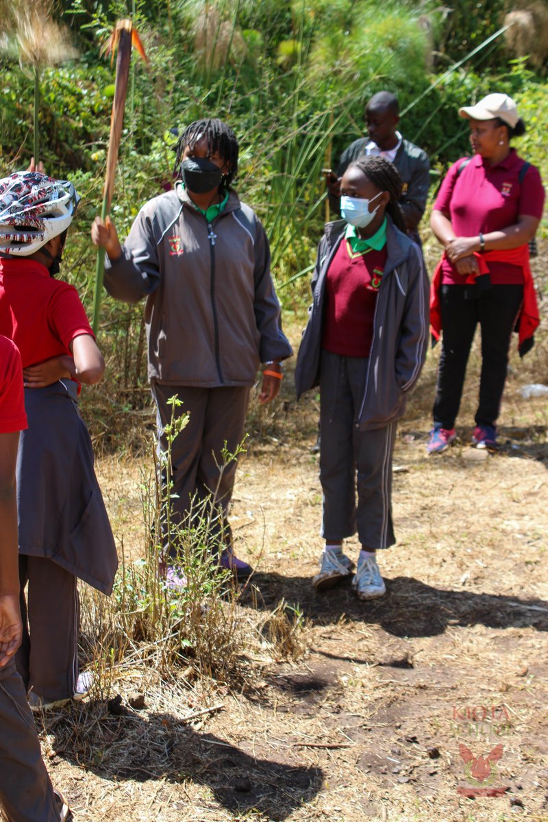 KiotaSchool's tweet photo. Class 8 trip to @oloolua_nature_trail. 
They learnt that human encroachment to natural resources such as forests leads to deforestation and destruction of water catchment areas.
#kiotalife 
#kiotacommunity 
#worldchangers 
#schooltrip 
#class8 
#environmentalcare 
#climatechange https://t.co/vm1EXotUCi