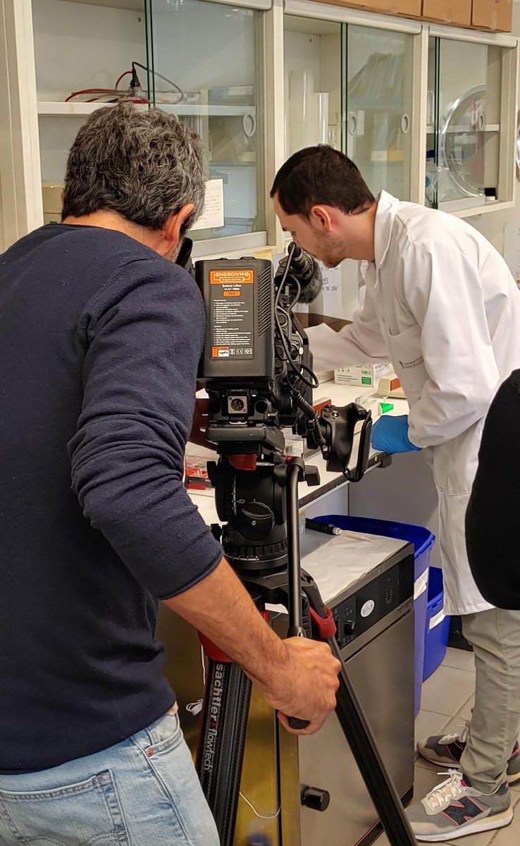 GeneticsUB's tweet photo. Avui un equip de @tv3cat ha estat a la secció de @GeneticsUB @BiologiaUB gravant pel @30minuts https://t.co/XM8JBvFnvD