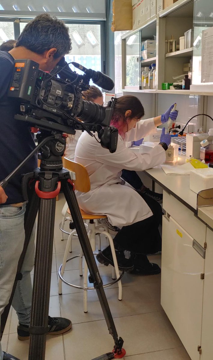 Avui un equip de @tv3cat ha estat a la secció de @GeneticsUB @BiologiaUB gravant pel @30minuts