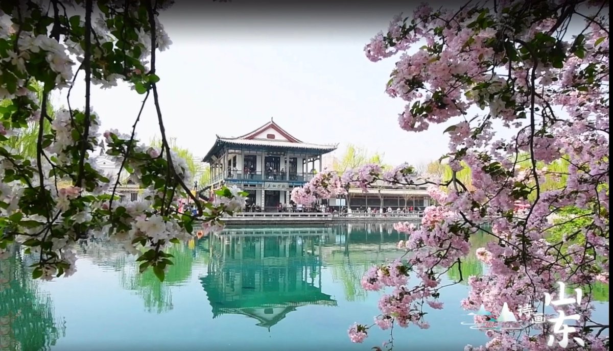 wyt1819's tweet photo. 三月是济南赏花最好的季节，在五龙潭公园内，海棠烂漫、樱雨缤纷。满园的芬芳为泉城春色增添了浓浓的浪漫氛围。花儿清香动人，沁入心脾，在这里与一树繁花相约，与春日的美好撞个满怀。 https://t.co/JftjuGqZSW