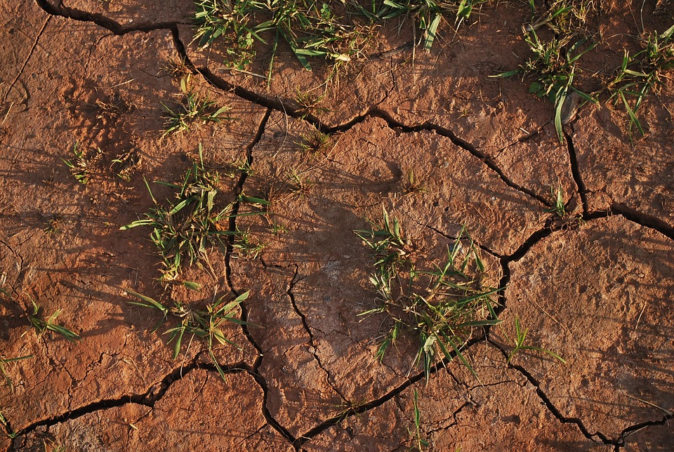 TLippiello's tweet photo. 💧La carenza d'acqua è emergenza globale e la siccità colpisce il nostro territorio: adottiamo strategie di risparmio idrico e comportamenti responsabili. A @cafoscari: Piano di Mitigazione e Adattamento ai Cambiamenti Climatici https://t.co/gb5WgybaE6
#GiornataMondialedellAcqua https://t.co/pojL2NQHGv