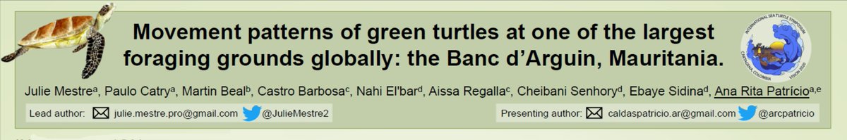 Despite not being able to attend the @ISTS41Cartagena, you can have a look at my poster (218) thanks to my colleagues @arcpatricio @MadeiraFern who took care of the logistics🙌. 
Have a great conference sea 🐢 folks! 
#ISTS41_Cartagena