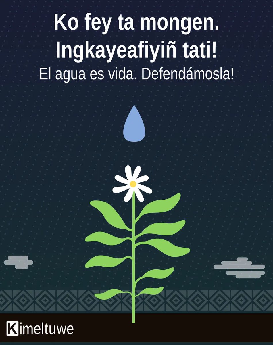 Ko=agua
#díamundialdelagua💧 #mapuche #mapudugun #mapuzungun