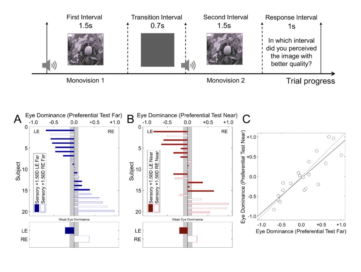 MarcoslabUr's tweet photo. Just out @ARVOtvstā© ā¦@ARVOinfoā©: measuring #eye dominance that matters in #monovision #presbyopia w #SimVis #binocular simulator, by @victorRL_21 ā¦@VioBio_Labā© ā¦ā© ā¦@2eyesvision @MarcoslabUrā© #URochesterResearch ā¦@harvardmedā© https://t.co/EO3kRkogBI https://t.co/7dtBcBXk2l