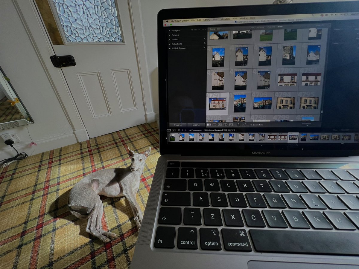 Photographyeve_'s tweet photo. Looking through and editing my photos from this mornings shoot feeling positive!!! But I do feel like I’m getting watched 🤣🤣 #EdNapPhoto https://t.co/1XopqgNF8m