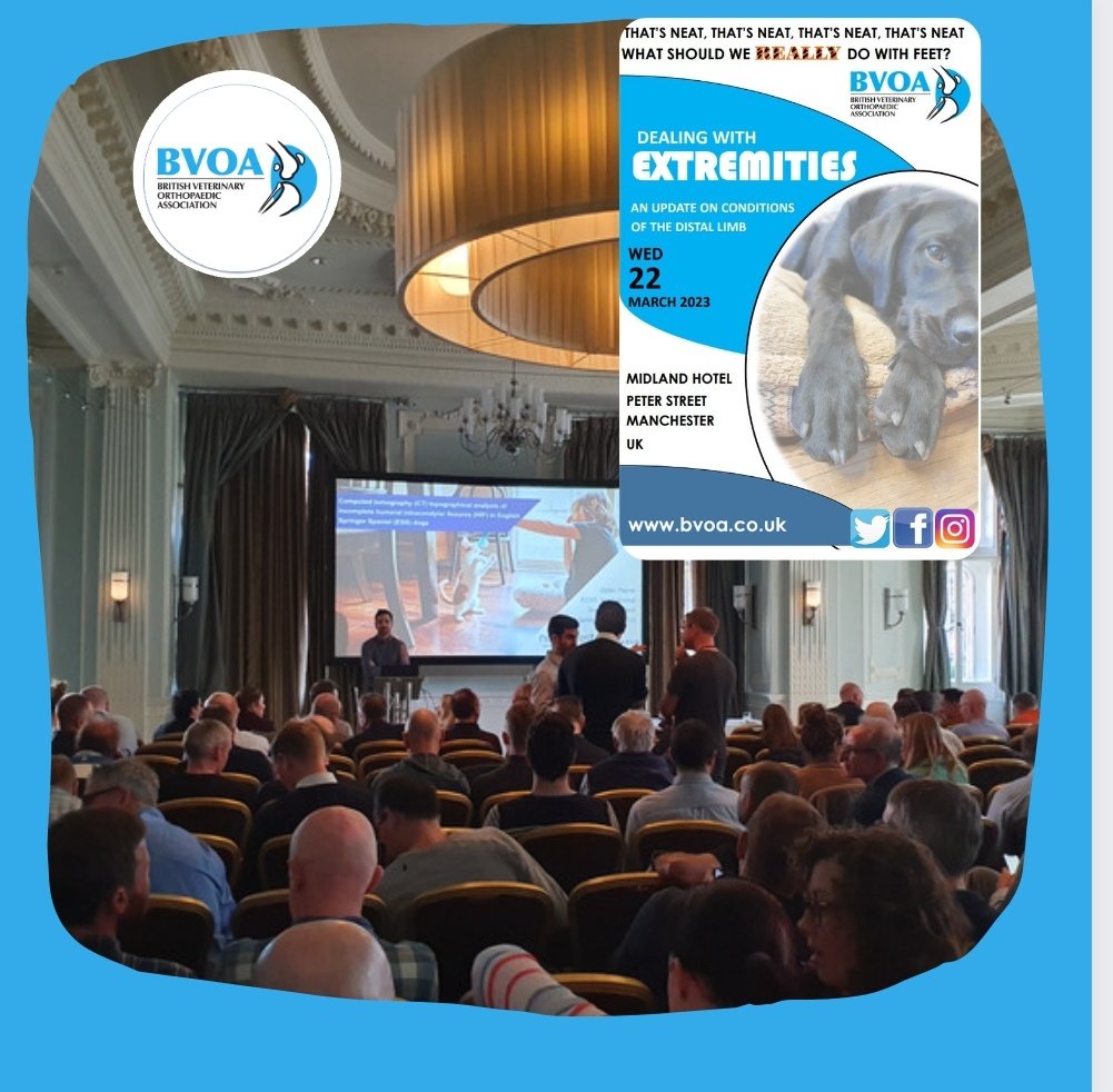 TheBVOA's tweet photo. CRAs are underway at #BVOA #Extremities
Thank you to the following presenters:
🦴Dylan Payne🦴Philippa Wells🦴AJ Mather🦴E. Tzimtzimis🦴John Innes
Remember that attending delegates can vote from eligible presentations for the Leslie Vaughan Prize 🏆 https://t.co/0VWwEzGO8C