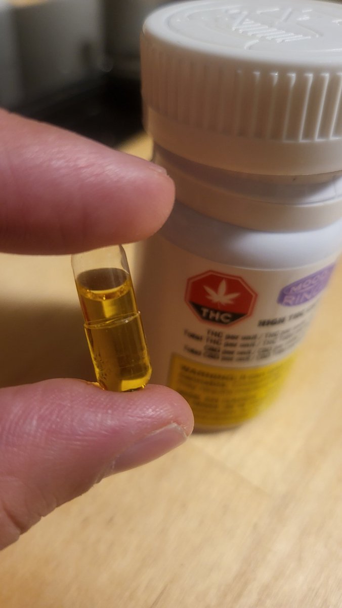 💾 Izzy Nobre🐁 tweet media