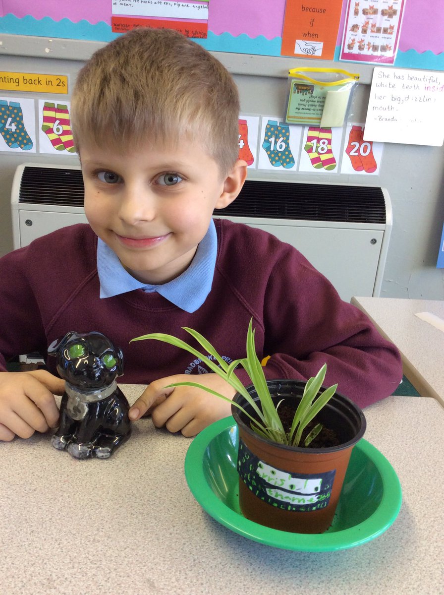 ks2_group's tweet photo. Today we got to take home our pottery and plant our spider baby cuttings into pots.
@StradbrokePri https://t.co/7WoYwQfuso