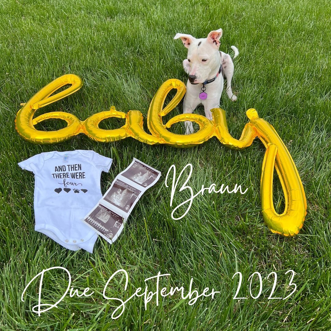 Colin Braun tweet media